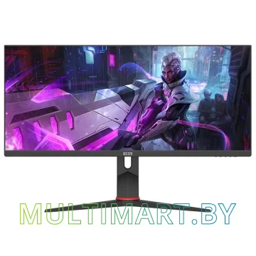 Игровой монитор ELSA EA300EX